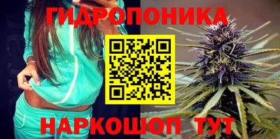метадон Заводоуковск