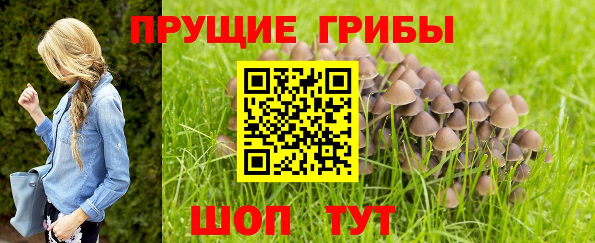 Галлюциногенные грибы ЛСД Новокузнецк