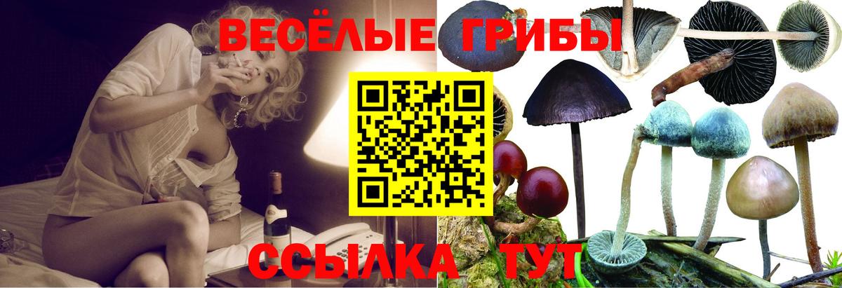 Галлюциногенные грибы мицелий  Псилоцибиновые грибы мухоморы  Новокузнецк  Вход с VPN 